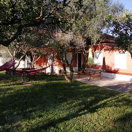 אזייתאו Casa Das Laranjeiras E Parque Infantil מראה חיצוני תמונה