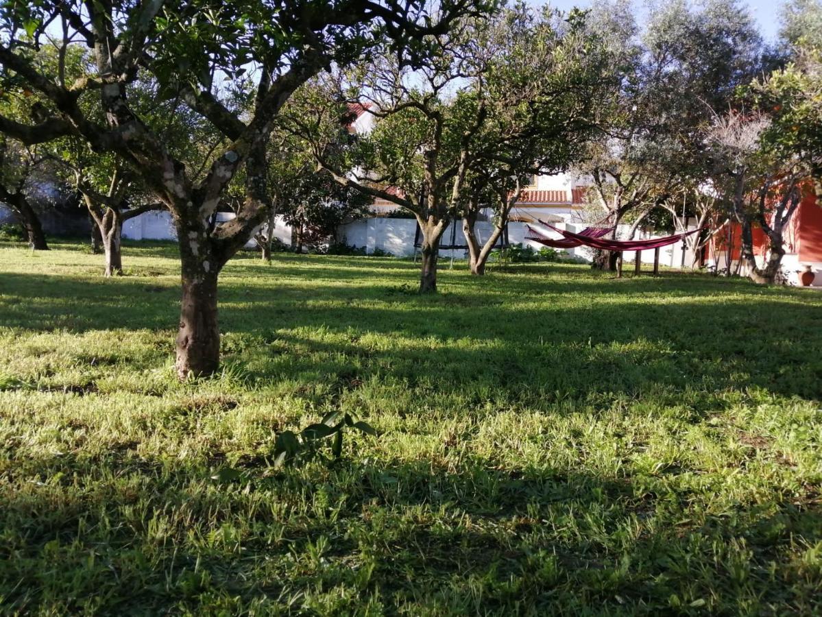 אזייתאו Casa Das Laranjeiras E Parque Infantil מראה חיצוני תמונה
